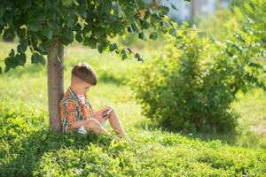 un' bellissimo bambino si siede su il erba e sembra a il Telefono nel il estate a tramonto. carino ragazzo con mobile nel mano foto