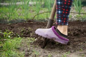 un anziano donna scava il terra con un' pala nel sua giardino nel il villaggio foto