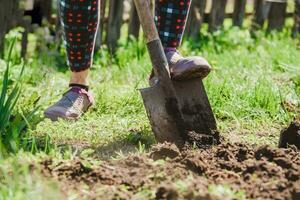 un anziano donna scava il terra con un' pala nel sua giardino nel il villaggio foto