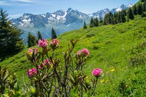 montagnoso di belledone ,isere,francia foto