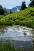 montagnoso di belledone,isere,francia foto