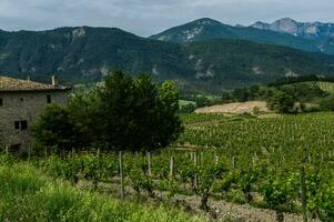 aurelo, nel Drome, Francia foto