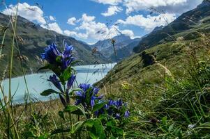 diga mauvoisina, vallese, svizzero foto