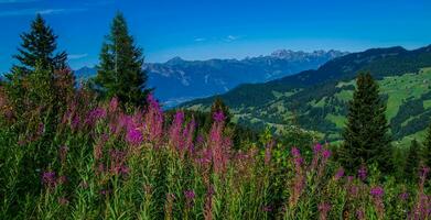 Taveyanna nel vaud nel svizzero foto