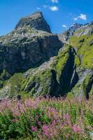 valle di breuil,val di oste, italia foto