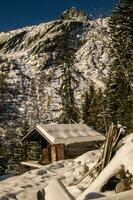 chamonix, haute Savoia, Francia foto