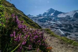 ghiacciaio di tour,chamonix,alta Savoia, Francia foto