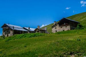 bois noir ceillac Queyras nel altezze alpes nel Francia foto