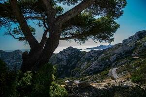 nazionale parco calanchi foto