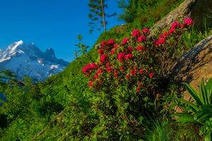 argentiere ,chamonix,alta Savoia, Francia foto