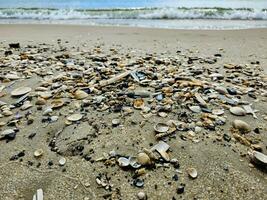 impressioni di il infinito spiaggia a il settentrionale mare nel blavanda Danimarca foto