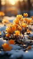 aconito fiore su inverno neve sera sole ai generato foto