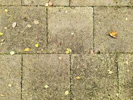 Visualizza a colore pavimento piastrelle su il terra. foto