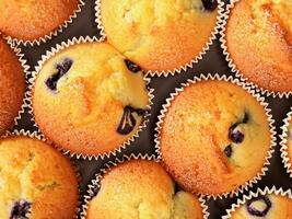 vicino su muffin con cioccolato patatine fritte foto