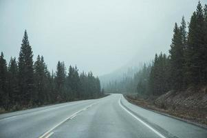 viaggio su strada di guida in auto in autostrada con bufera di neve nella foresta di pini foto