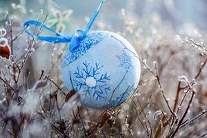 Natale albero giocattolo su il rami coperto con brina. soleggiato gelido tempo atmosferico. preparazione per Natale. perso giocattolo. Natale arredamento. nuovo anni sfondo. foto