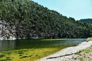 il fiume è chiaro e verde nel il mezzo di il foresta foto