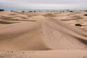 il sabbia dune paesaggio foto