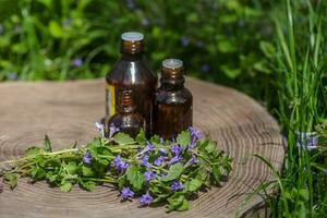 Due farmaceutico bottiglia di medicina a partire dal glecoma ederacea, nepeta ederacea, edera terrestre, piede di gatto, campo balsamo, e pettirosso in fuga, strisciante jenny Il prossimo per un' mazzo su verde sfondo. preparazione di medicinale impianti. pronto pozione di erba. Etnoscienza foto