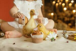 carino soffice anatroccoli su il Pasqua tavolo con Quaglia uova e Pasqua cupcakes, Il prossimo per un' poco ragazza. il concetto di un' contento Pasqua. foto