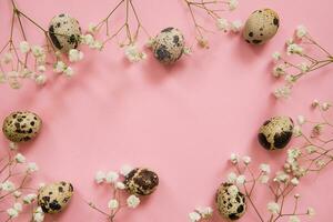 Pasqua sfondo, Quaglia uova su un' rosa sfondo, decorato con naturale botanico elementi, piatto posizione, Visualizza a partire dal sopra, vuoto spazio per testo foto