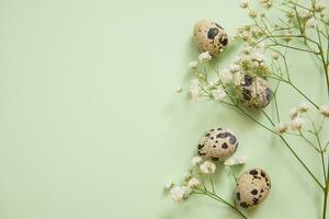 Pasqua sfondo, Quaglia uova su un' menta sfondo, decorato con naturale botanico elementi, piatto posizione, Visualizza a partire dal sopra, vuoto spazio per testo foto