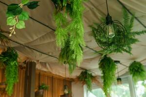 bar interno con elementi di biofilo design. il soffitto è decorato con sospeso interno impianti. il concetto di biofilia foto