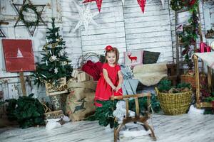 il ragazza è trascinamento slitta con Natale albero. foto