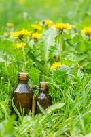 farmaceutico bottiglia di medicina nel erba contro sfondo di fioritura giallo fiore tarassaco officinale, o denti di leone . preparazione di medicinale impianti. pronto pozione di erba. foto