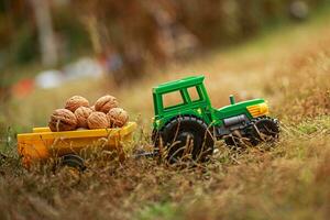 verde trattore trasporta noccioline nel il Indietro. giocattolo trattore con un' Ritaglia di maturo Noci. foto