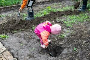 piccolo bambino nel giardino scava letti per piantare impianti. giardinieri mani pianta verdure nel Giardino dietro la casa. eco azienda agricola. in crescita impianti concetto foto