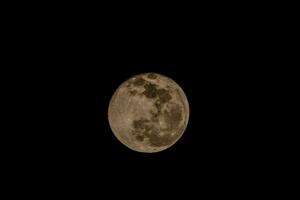 il pieno Luna è visto nel il buio cielo foto