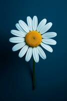 un' vicino su di un' fiore su un' blu sfondo, generativo ai foto