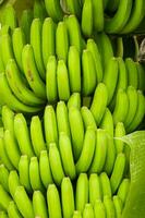 un' mazzo di verde banane sospeso a partire dal un' albero foto