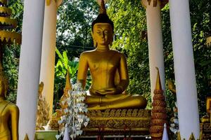 un' grande d'oro Budda statua nel un' giardino foto