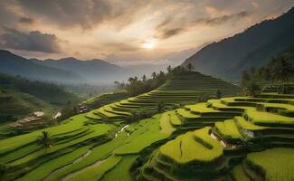 un' bellissimo verde montagna con terrazze riso campi. foto