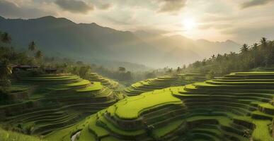 un' bellissimo verde montagna con terrazze riso campi. foto
