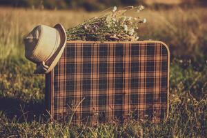 Immagine di vecchio valigia, cappello e fiori nel il erba. foto