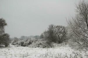 paesaggio invernale innevato foto