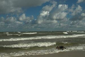 baltico mare paesaggio foto