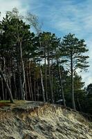 baltico mare paesaggio foto