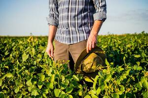 Immagine di contadino in piedi nel il suo in crescita soia campo foto