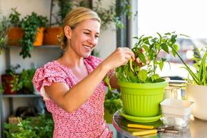 contento donna è guardare crescita di sua giallo chili peperoni . lei gode nel giardinaggio su balcone a casa. foto