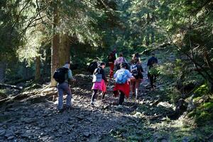 carpazi montagne, Ucraina - ottobre 8, 2022 montare hoverla. Carpazi nel Ucraina nel autunno foto