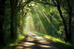 avvolgimento sporco strada fa cenno in un' verdeggiante foresta, dove luce del sole balli attraverso un' baldacchino di torreggiante alberi. generativo ai foto