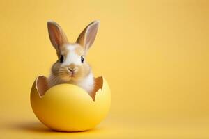 ai generato un' carino Pasqua coniglietto è seduta nel il conchiglia di un Pasqua uovo. foto