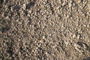 Marrone schiacciato suolo torba campo astratto struttura Maggio essere Usato come un' sfondo sfondo foto