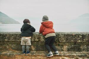 all'aperto ritratto di Due divertente bambini giocando di il lago su un' freddo autunno giorno, indossare caldo inverno giacche, indietro Visualizza foto