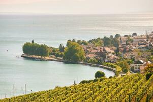 aereo Visualizza di lavaux vigneti e stupido cittadina, cantone di Vaud, Svizzera foto