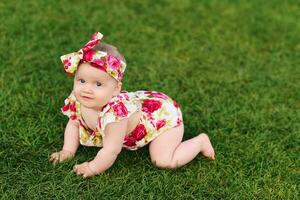 all'aperto ritratto di adorabile 6 mesi vecchio bambino ragazza giocando nel estate parco, bambino strisciando su fresco verde prato foto